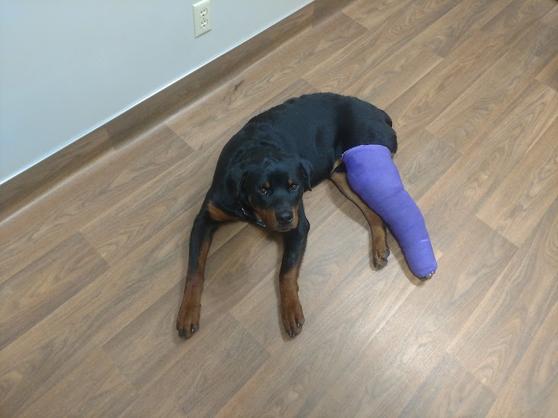 Inver Grove Heights Animal Hospital photo 3