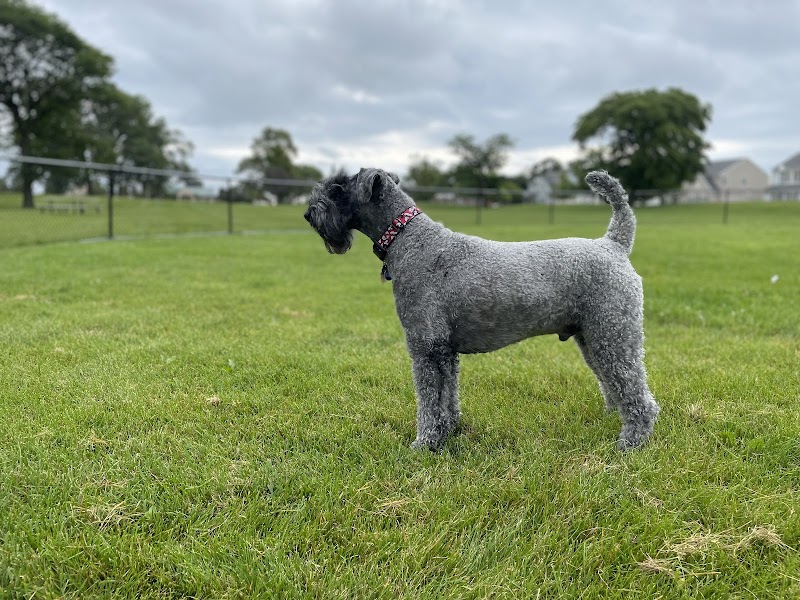 Bark Avenue Playcare photo 2