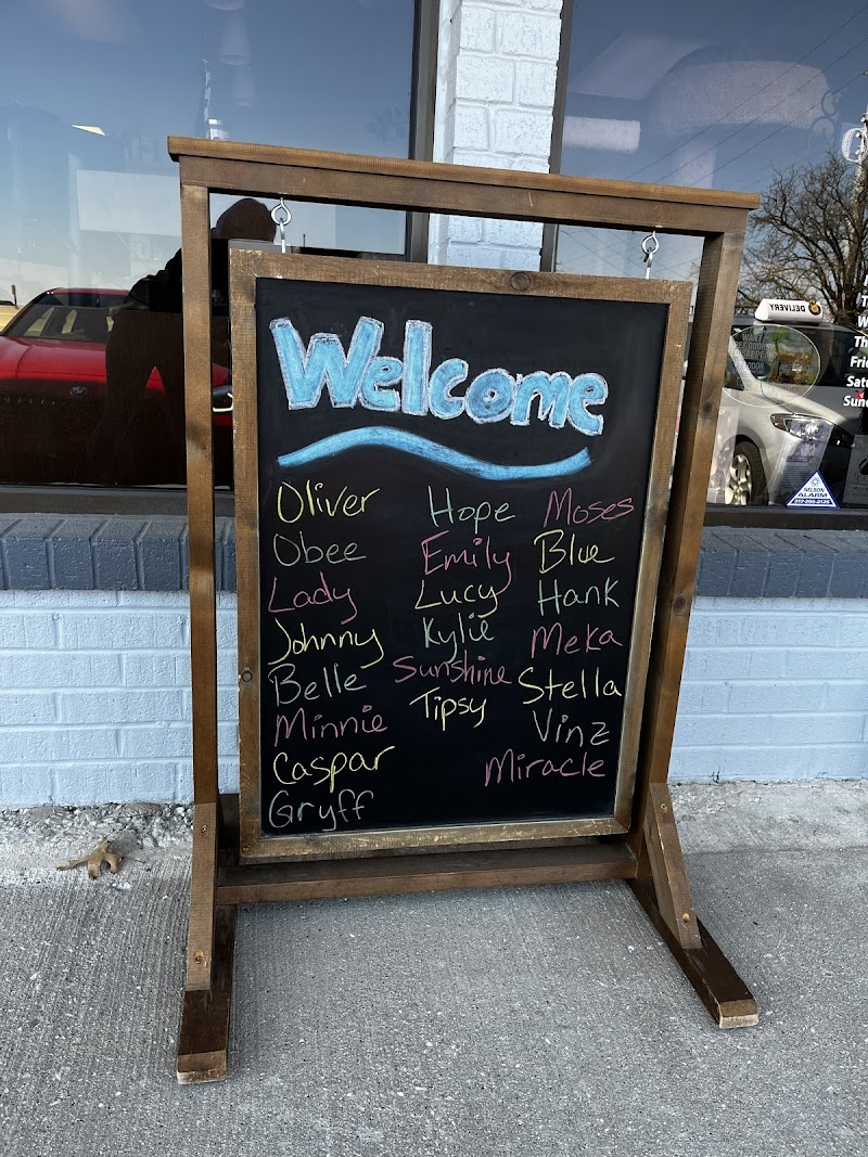 Cat Care Clinic photo 3