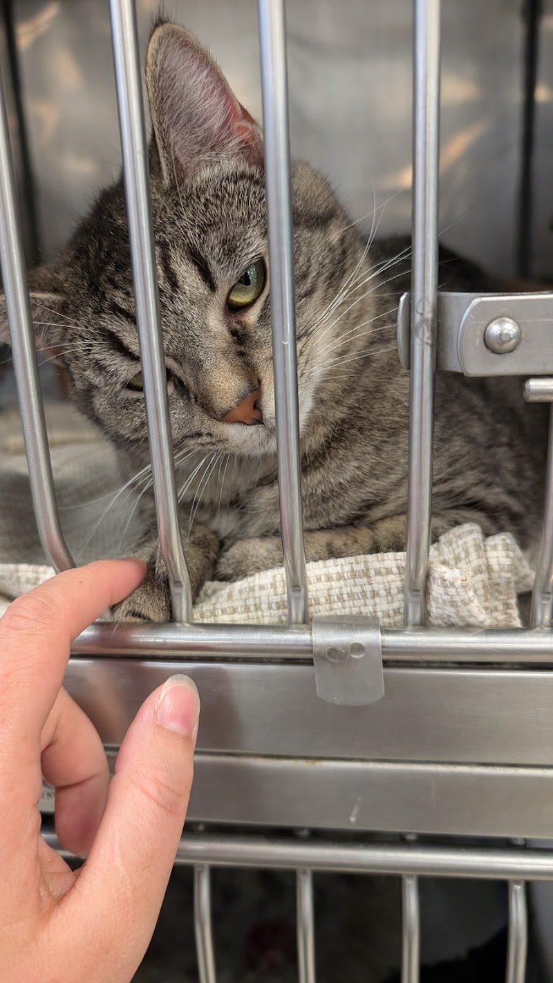 Almost Home Humane Society