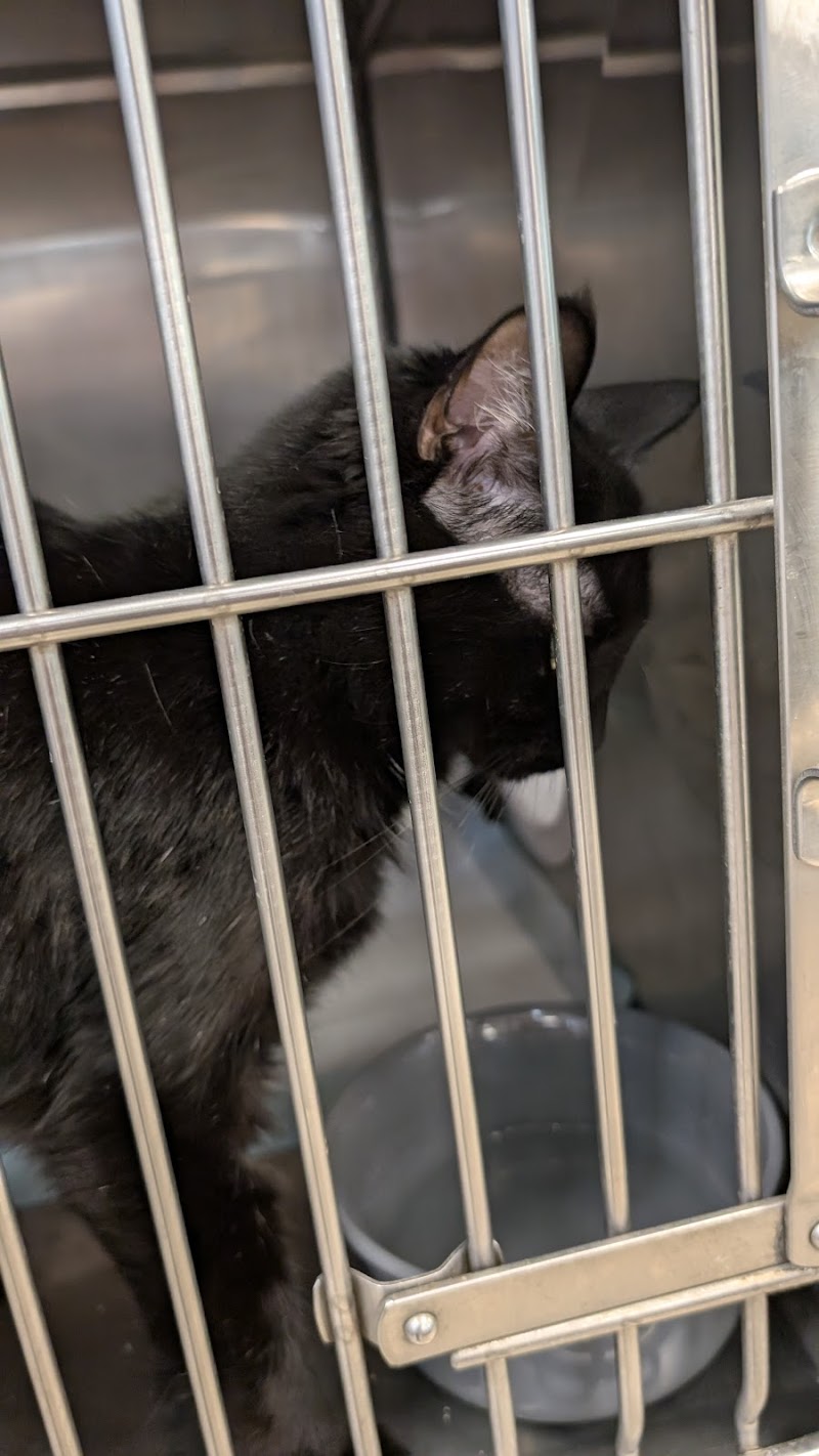 Almost Home Humane Society photo 2