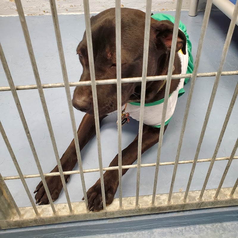 Almost Home Humane Society photo 3