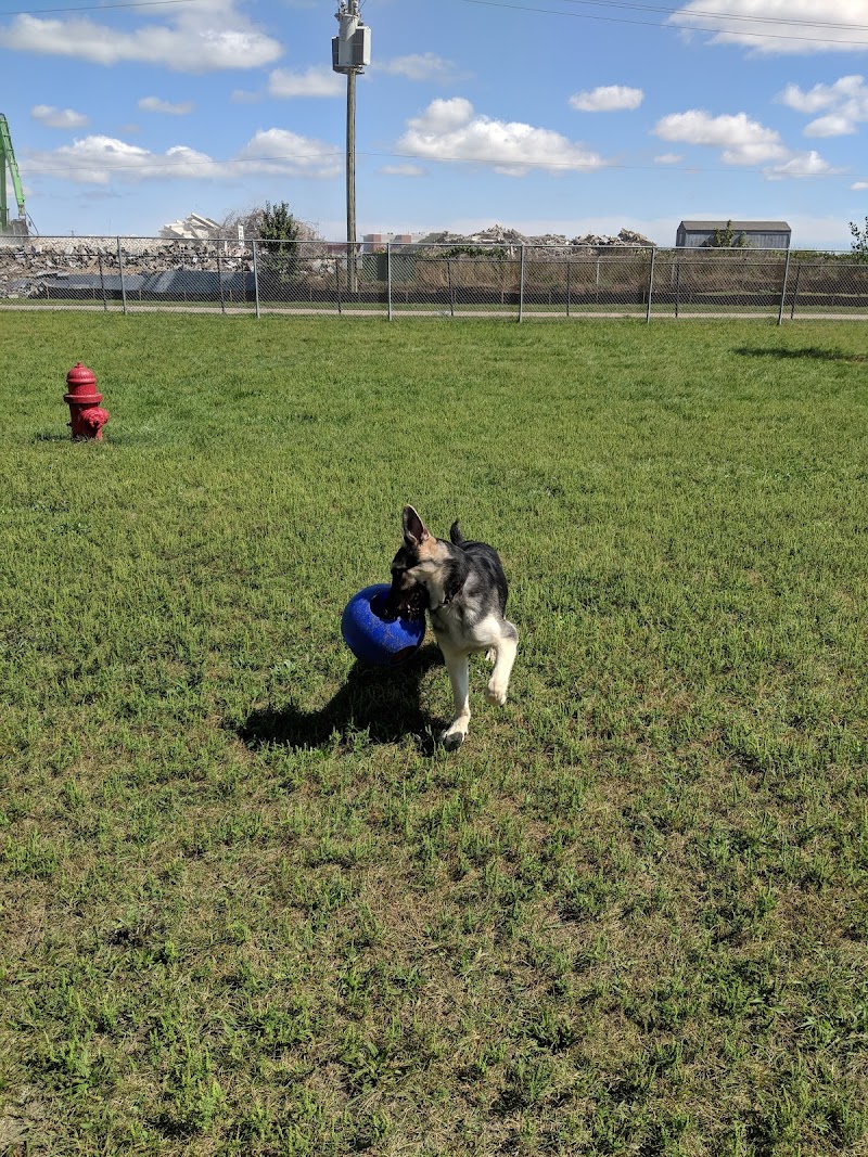 Hazel Park Dog Park