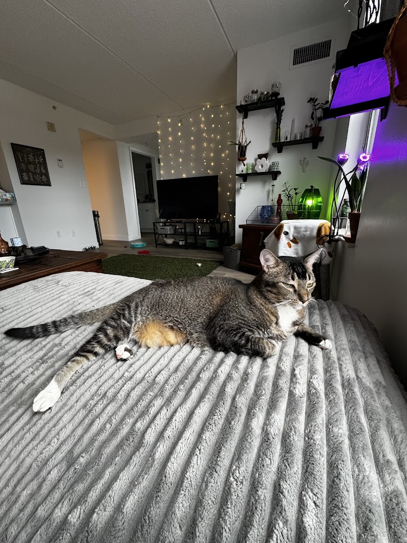 Parma Animal Shelter photo 2