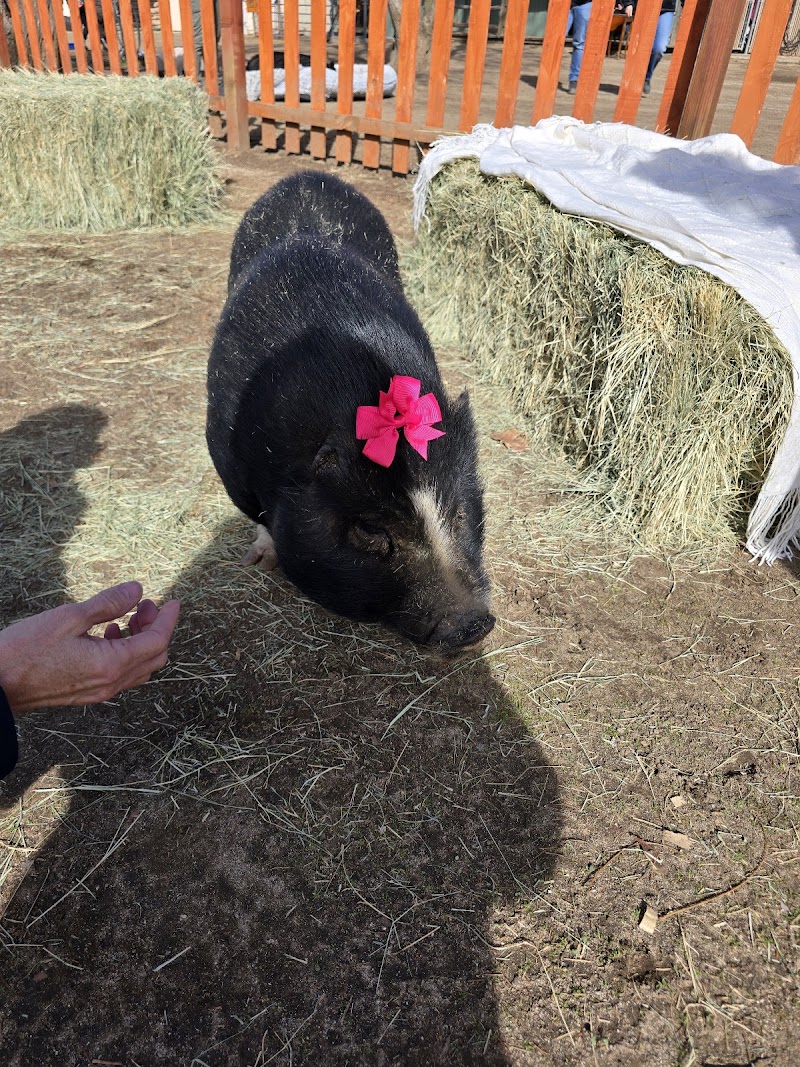 Farm Animal Refuge photo 3