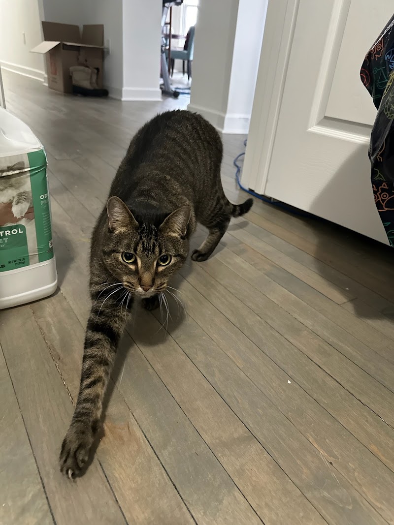 Milwaukee Pet Services photo 2