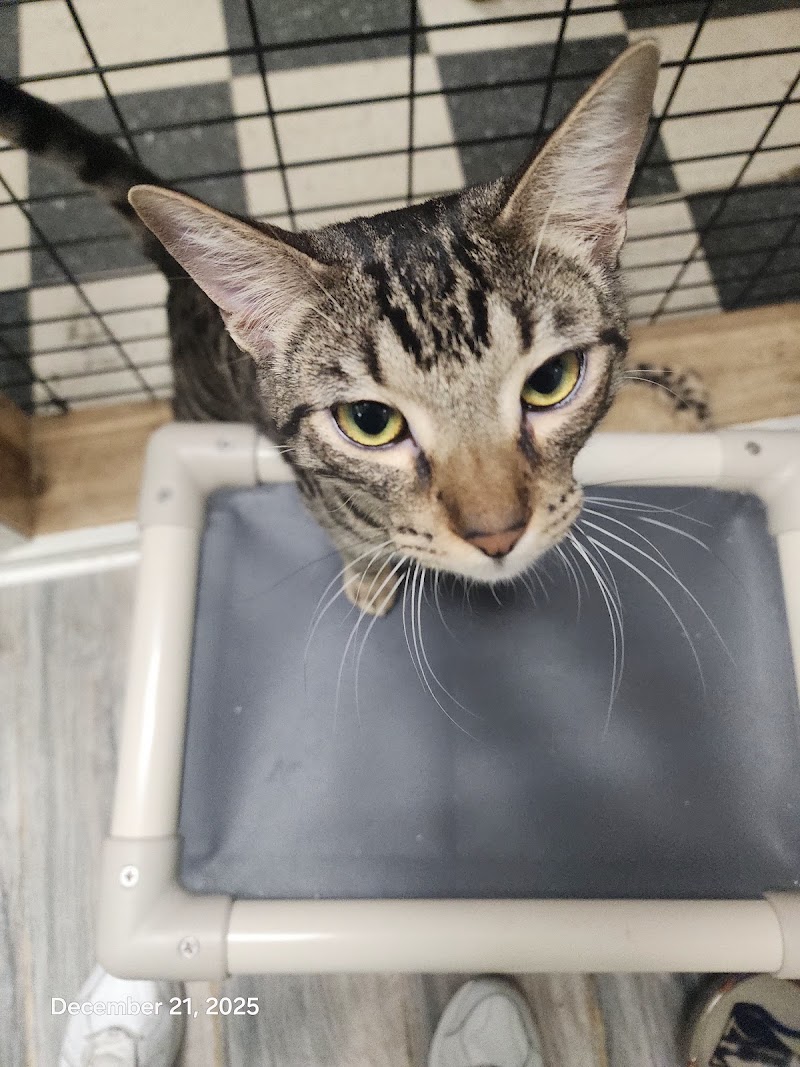 Fido's Gotta Go photo 2