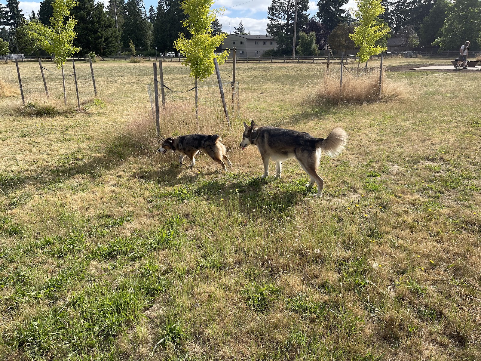 Fenced Off-Leash Dog Park