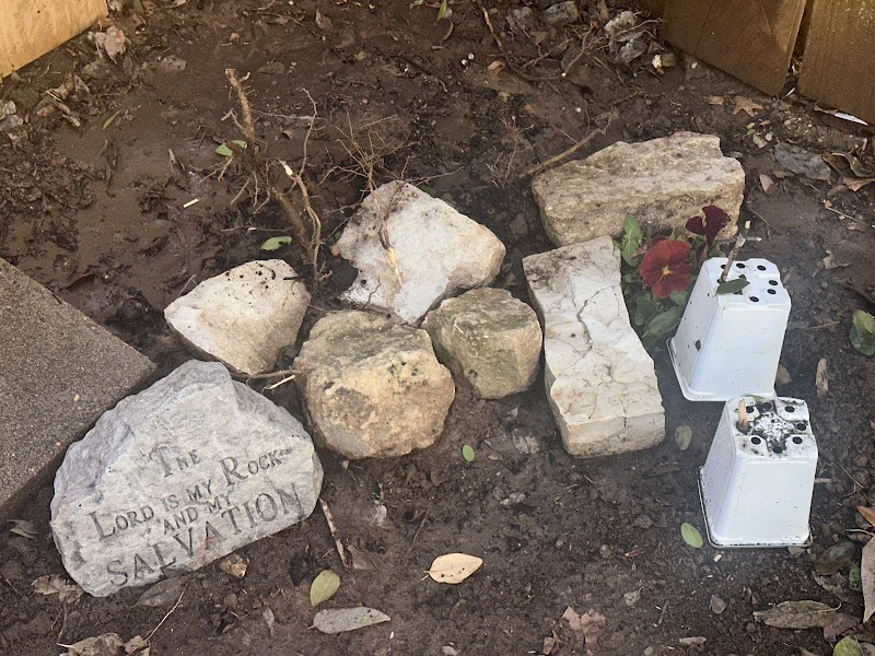 Ferret Sanctuary photo 2