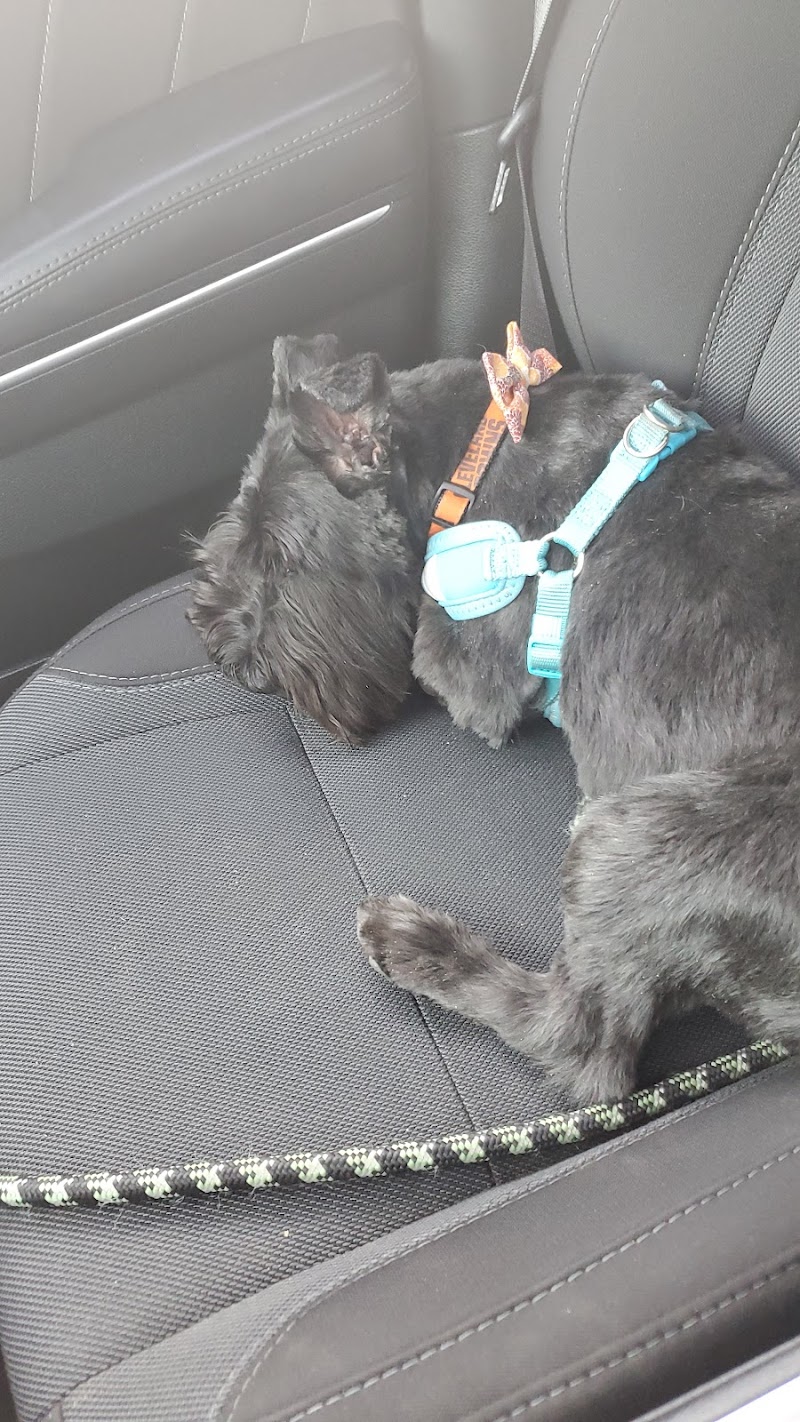 Circle City Pet Care photo 2