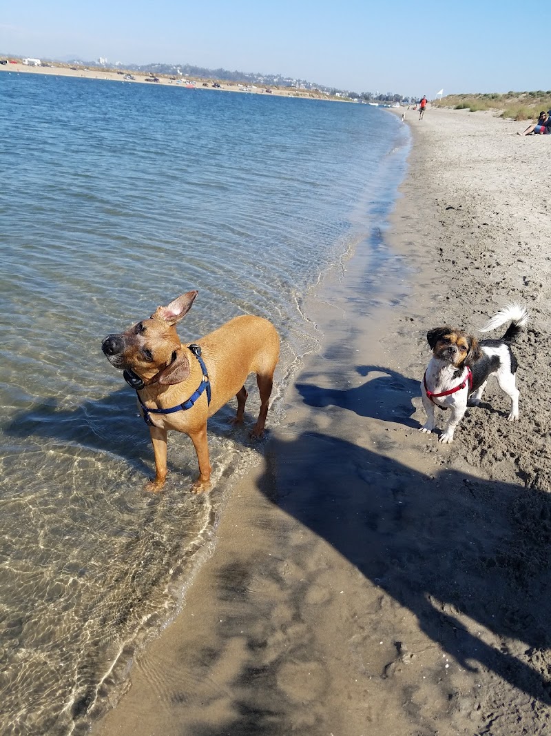 Fiesta Island Dog Park photo 3