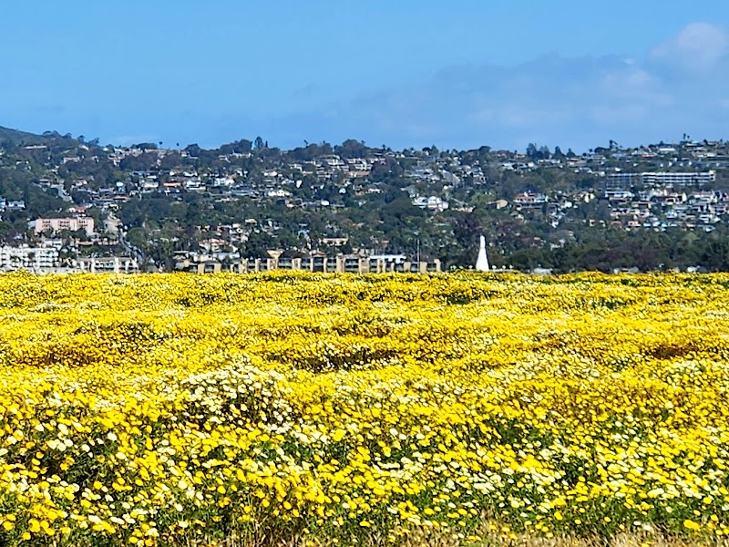 Fiesta Island photo 2