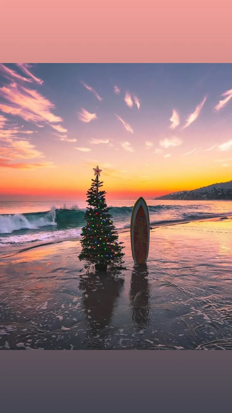 Finest City Pet Sitting LLC