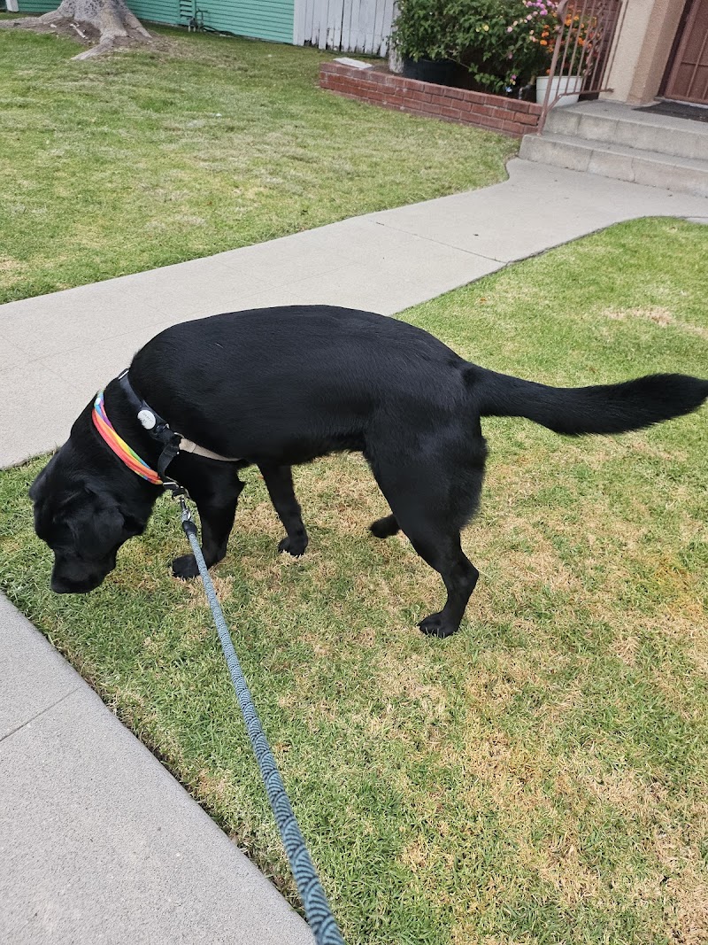 Finest City Pet Sitting LLC photo 2