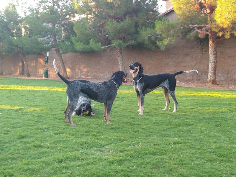 Fire Station Dog Park photo 3