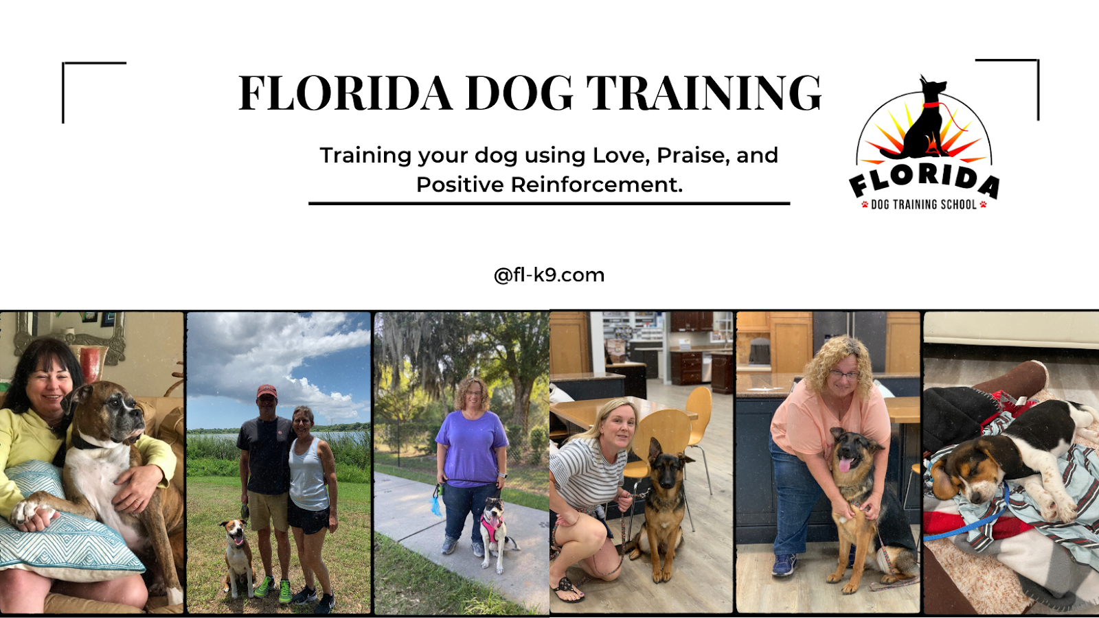 Florida Dog Training School - Tampa Dog Trainer
