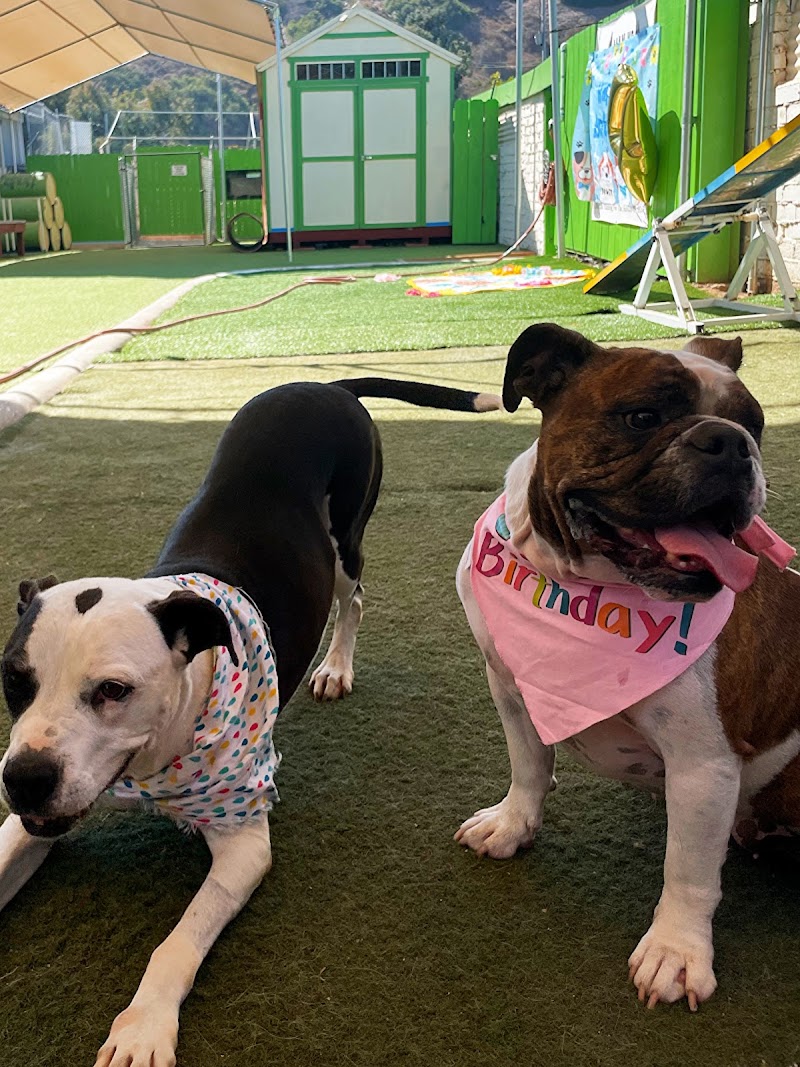 Fon Jon Dog Boarding and Daycare of San Diego