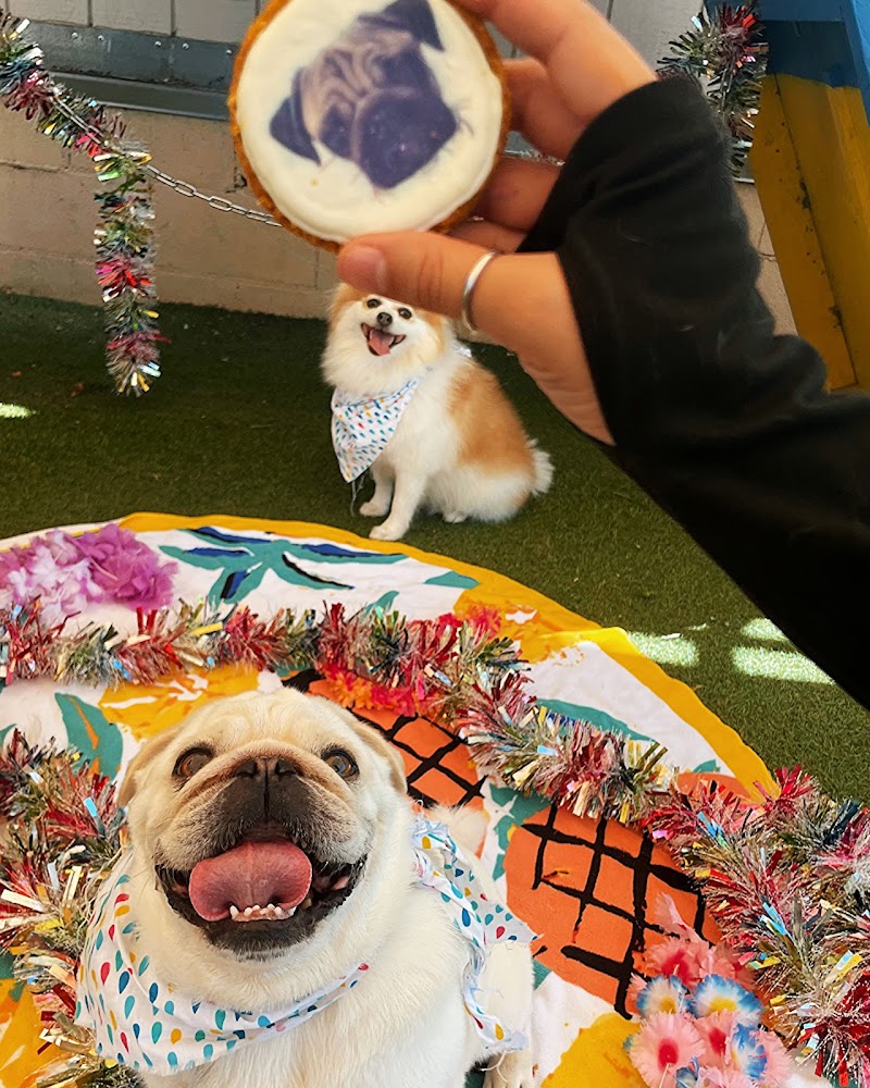 Fon Jon Dog Boarding and Daycare of San Diego photo 2