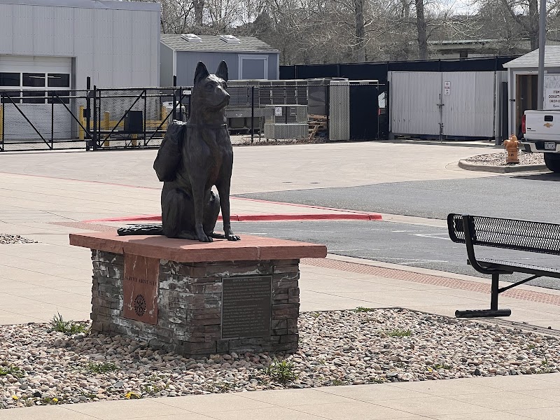 Foothills Animal Shelter photo 2