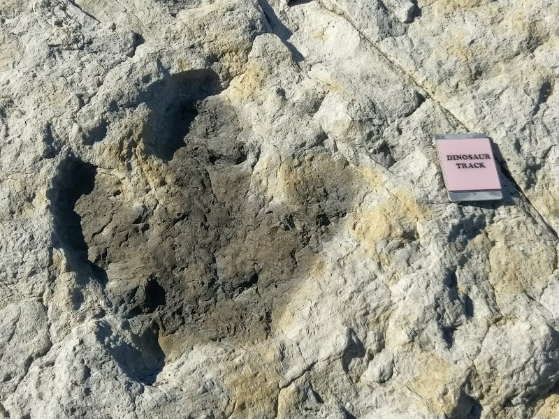 Forsberg Iron Spring Park photo 3