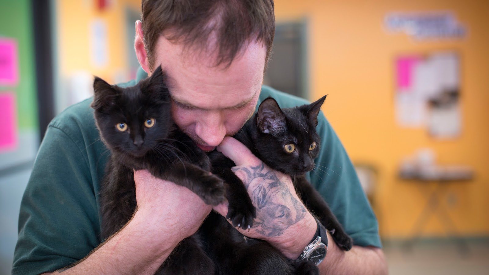 Franklin County Animal Shelter