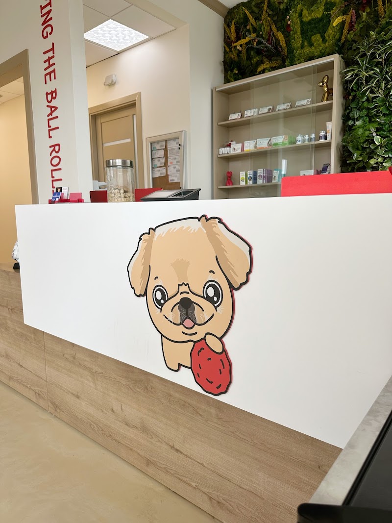 Freddie's Place Animal Hospital & Urgent Care
