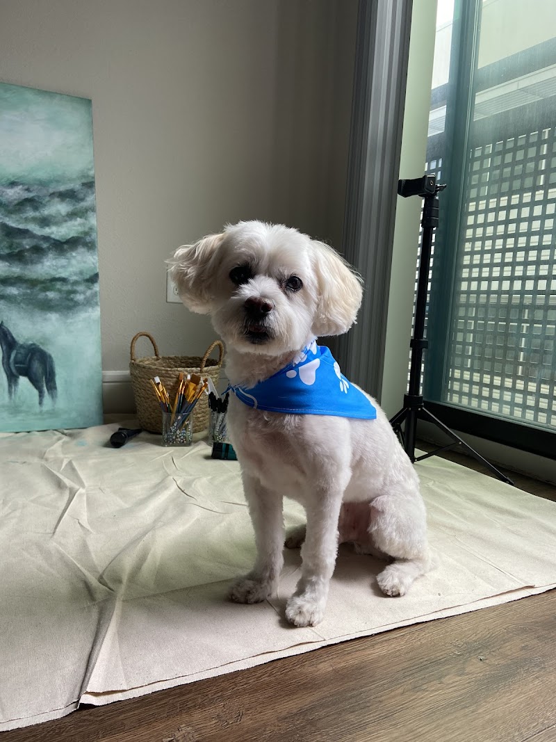 FRESH PAWS GROOMING photo 3