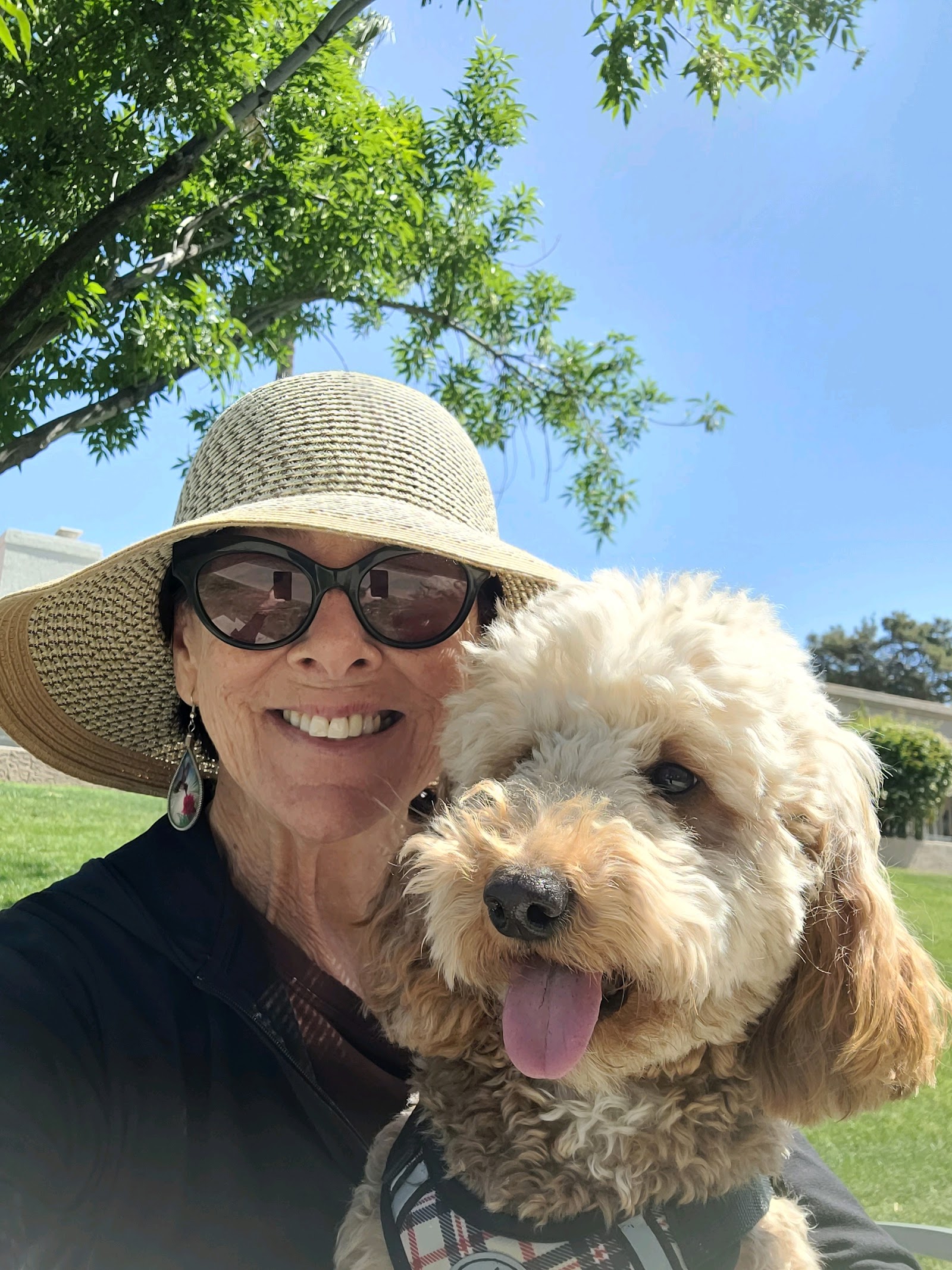 FurBabies Resort and Spa