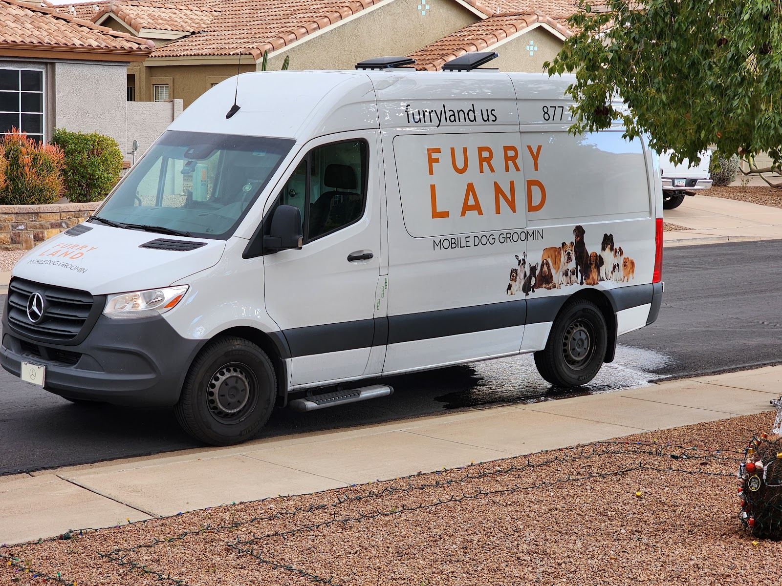 Furry Land of Phoenix