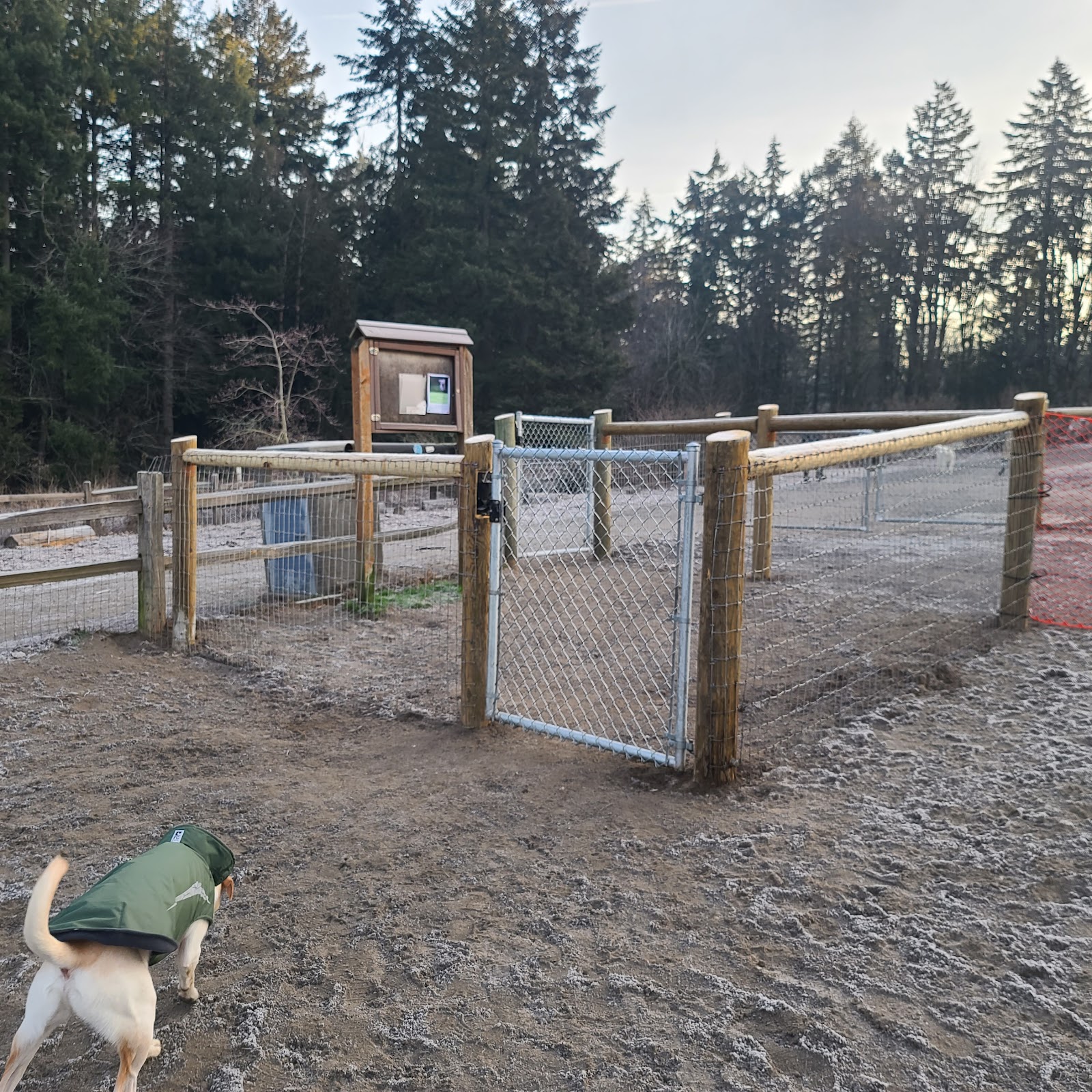 Gabriel Off-Leash Dog Park Winter