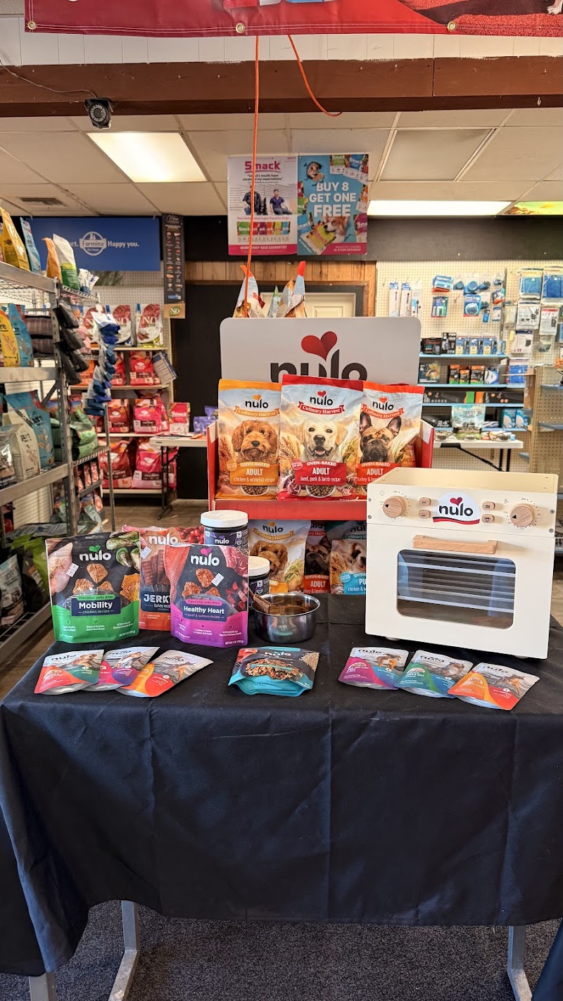 Gallery of Pets photo 2