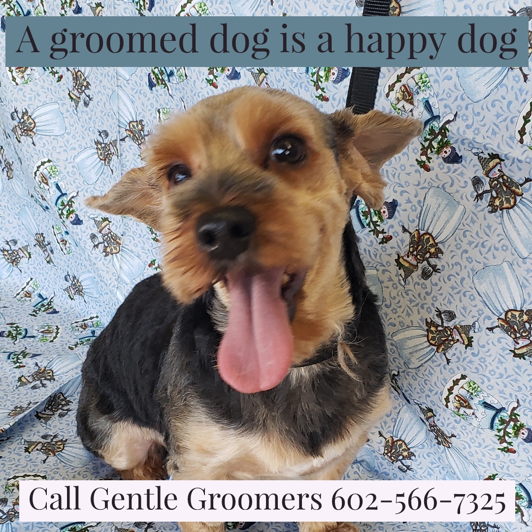 Gentle Groomer