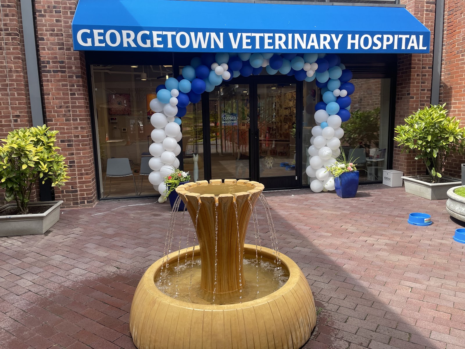Georgetown Veterinary Hospital