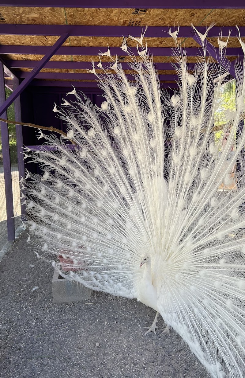 Gilcrease Nature Sanctuary