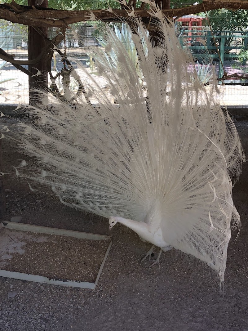 Gilcrease Nature Sanctuary photo 2