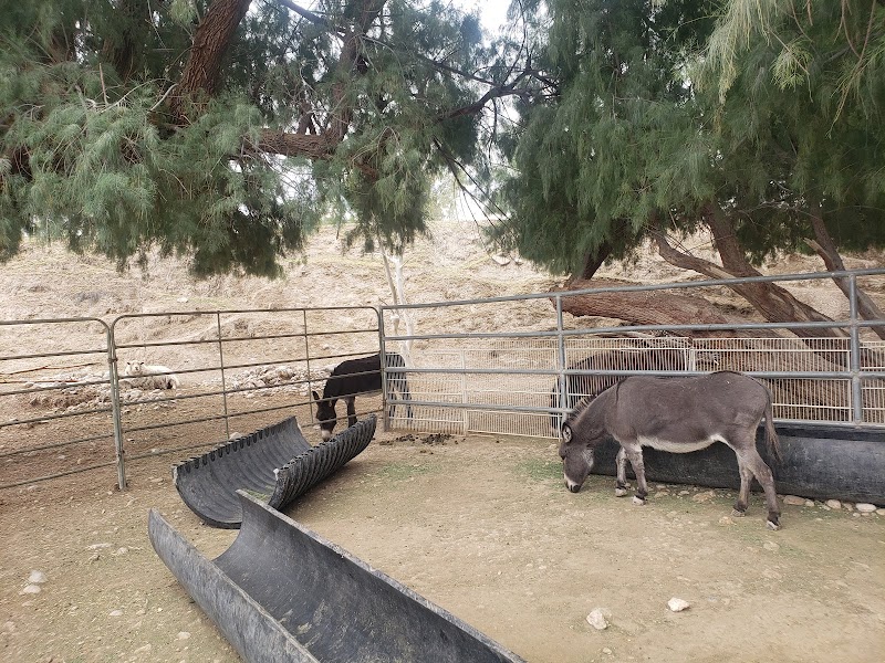 Gilcrease Nature Sanctuary photo 3