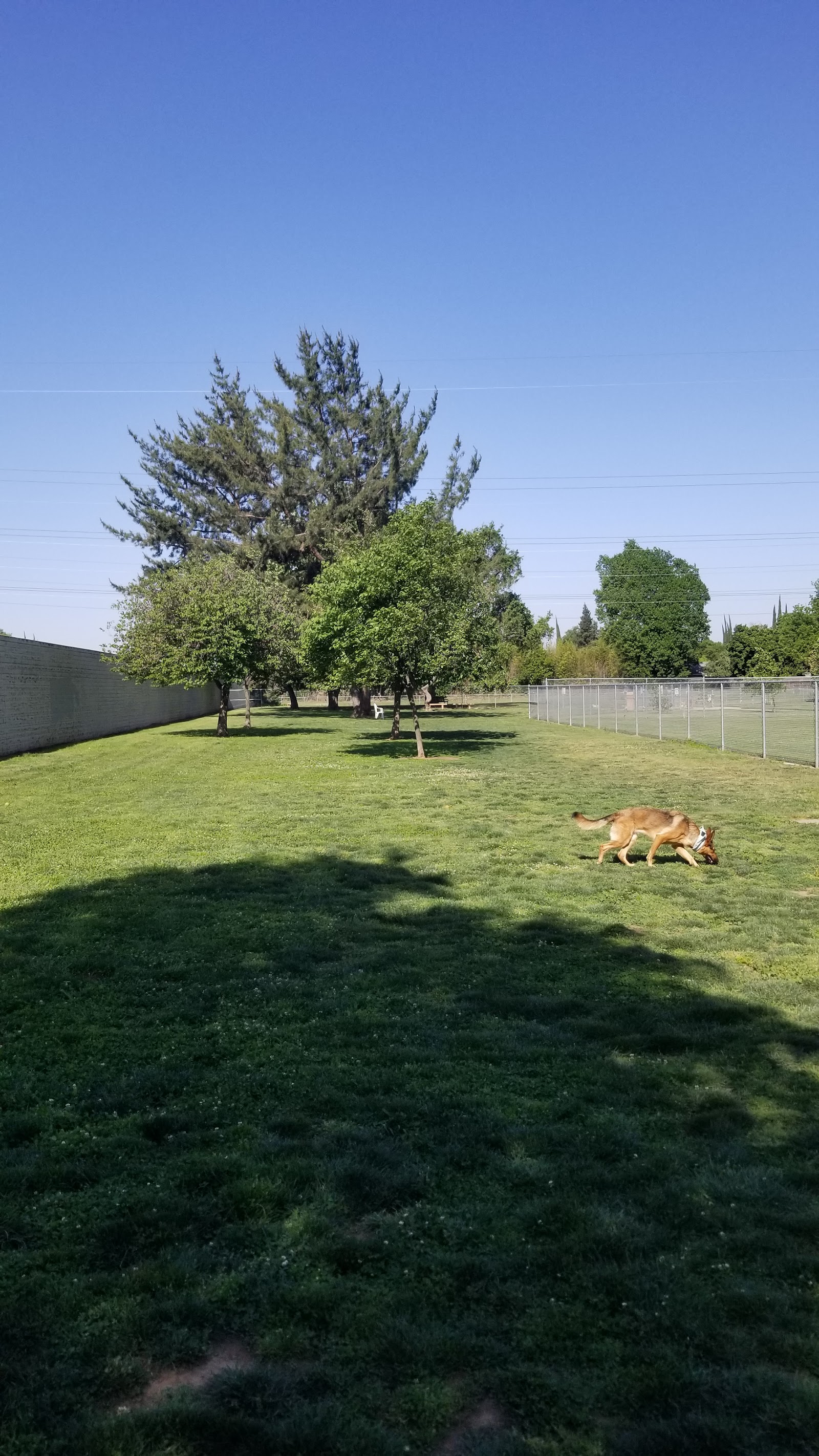 Glenbrook Large Dog Park