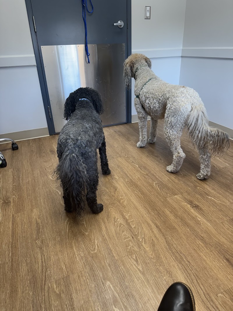 Goldsmith Veterinary Clinic photo 2