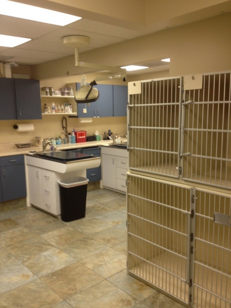 Goldsmith Veterinary Clinic photo 3