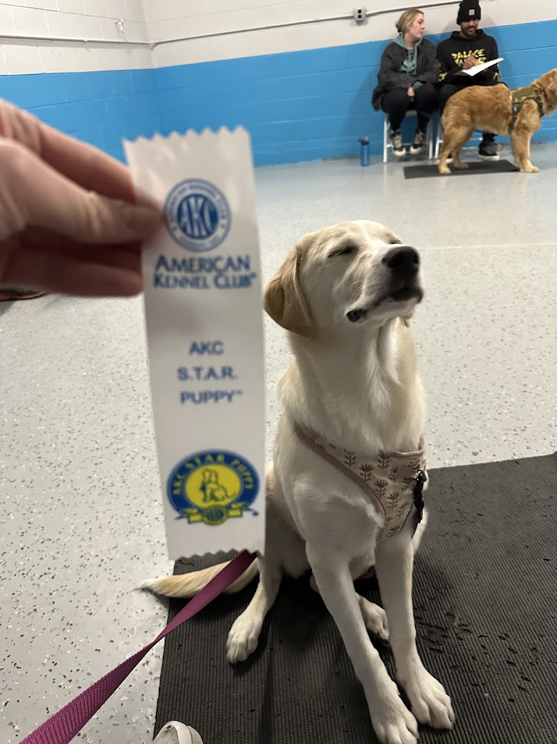 Good Dog, DYNO photo 2