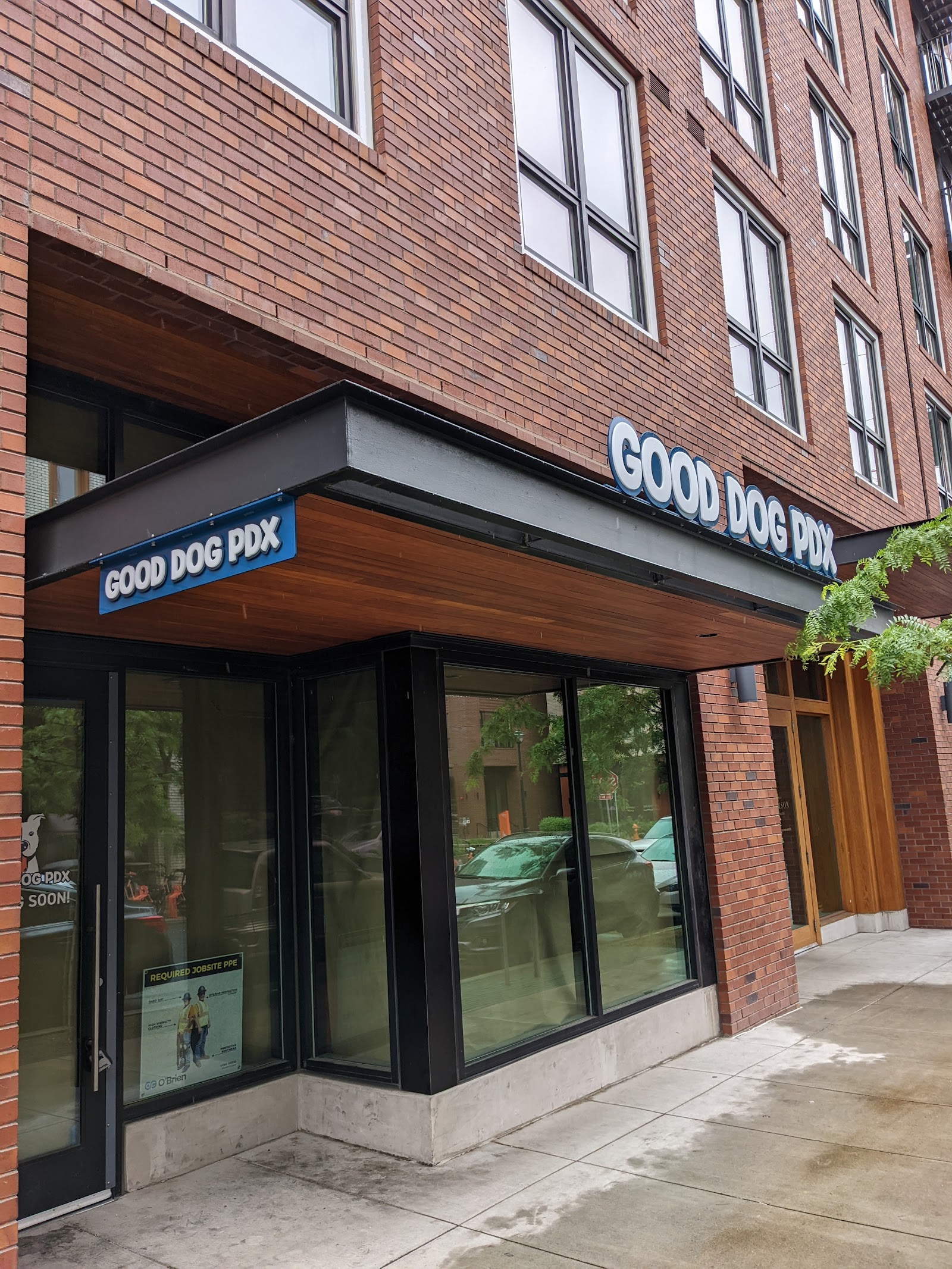 Good Dog PDX