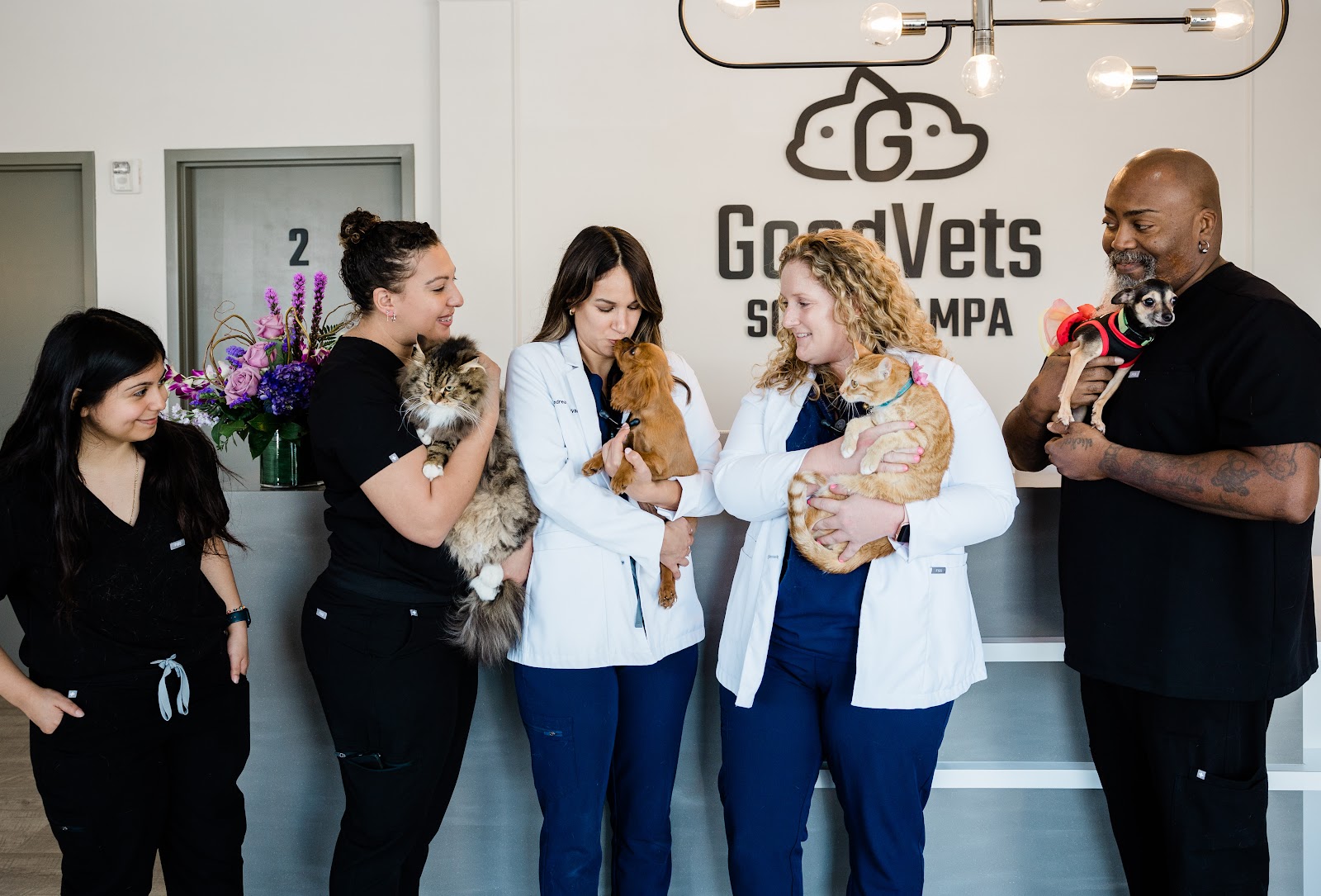 GoodVets South Tampa