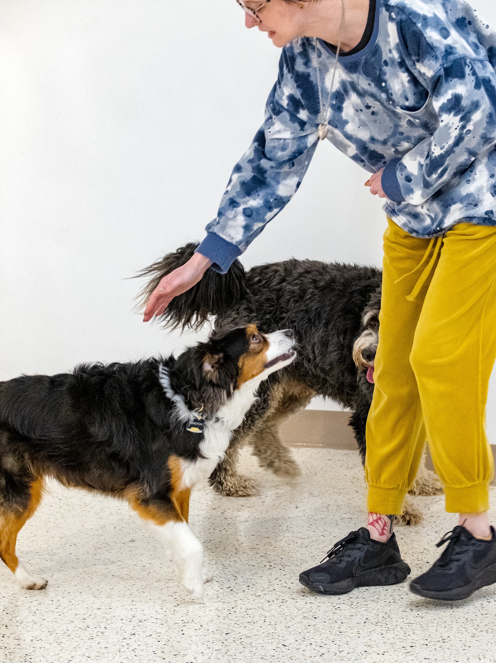Goodwoof Dog Care & Training Club