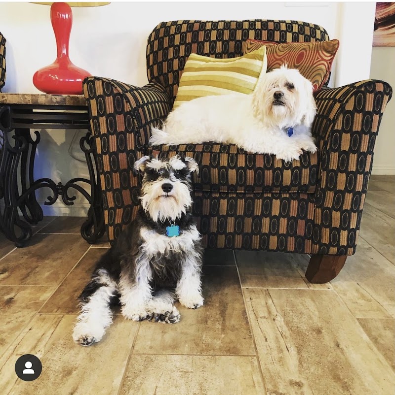 Grand Montecito Animal Hospital