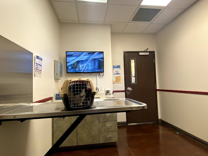 Grand Montecito Animal Hospital photo 2