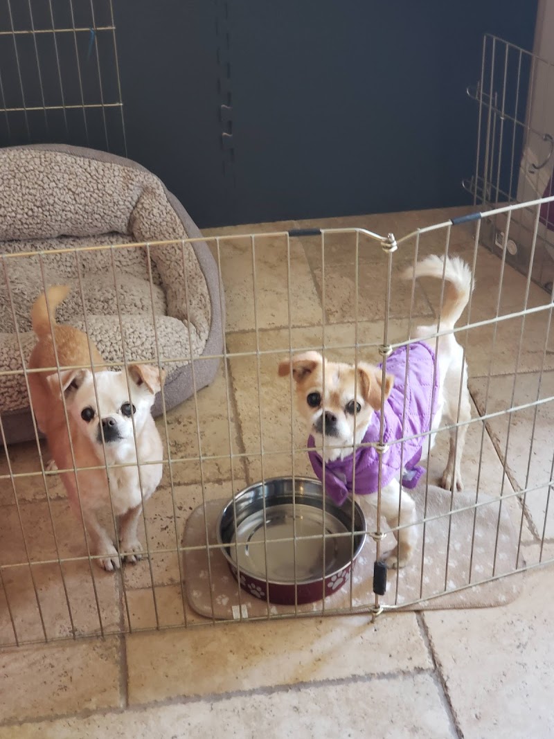 Grand Montecito Animal Hospital photo 3