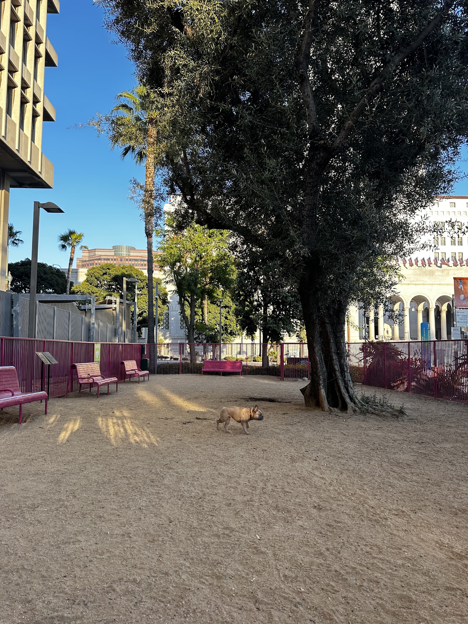 Grand Park- Dog Park