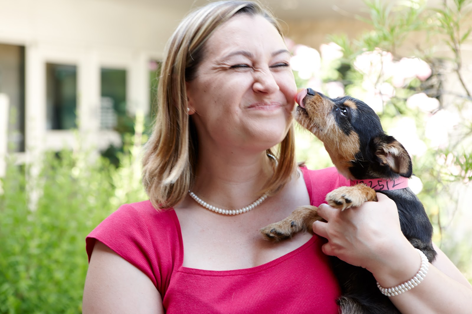 Grand Prairie Animal Services and Adoption Center