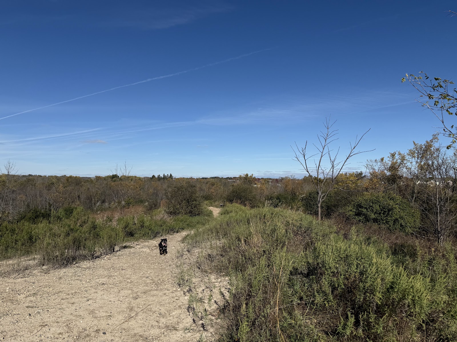 Granville Dog Park
