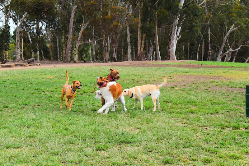 Grape Street Dog Park photo 2